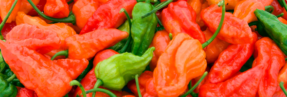 Post image for Naga Chili Peppers